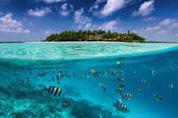 scuba diving maldives