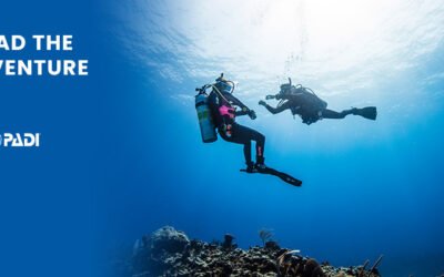 Divemaster introduction online